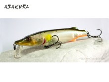 Asakura Pike , #937