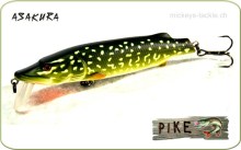 Asakura Pike
