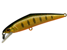 Smith D-Contact 63, 23 Golden Salmon