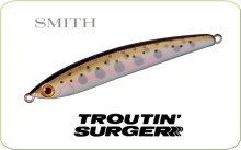 Smith Troutin Surger SH