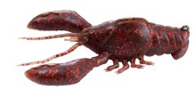 Sleeper Craw - Uchida Craw