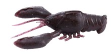 Sleeper Craw - Scuppernong