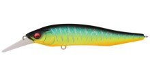 X - Nanahan +1 - Mat Tiger