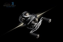 NEW Daiwa 26 Steez SV Light TW 100 Linkshand