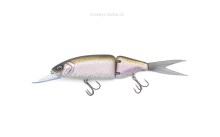 DTK13 - Magic Trout