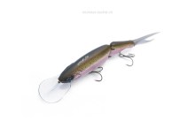 DTK13 - Magic Trout
