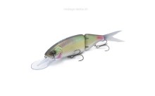 DTK13 - Midori Buna (Green Carp)