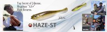 Haze-ST