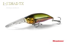 Megabass IXI SHAD TX