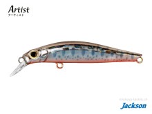 Jackson Artist FR65 #OY Orange Belly Yamame