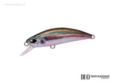 Spearhead Ryuki ADA4013 Wakasagi