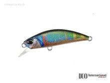 Duo Spearhead Ryuki, ANA4802 Flash Oikawa ND