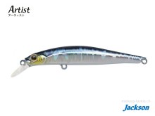 Jackson Artist FR105 #WBS