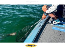 Deps Landing NET 72