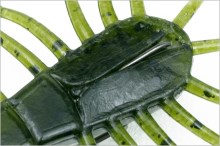 Deps Wiggle Bug