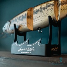 DRT Swimbait Display Stand