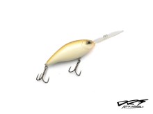 DRT Police - HN Shad