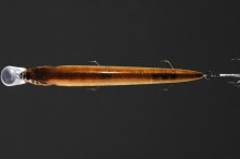 Megabass Ito Shiner
