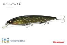 Kanata + 1, PM Nothern Pike