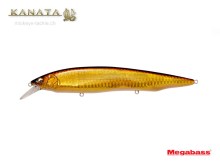 Kanata SW - GG Akakin Sparkle