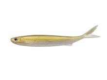 Evergreen Last Ace 128 S - #155 Armand Gold