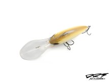 DRT Police - HN Shad