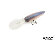 DRT Police - Problue