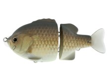 Tiny Bullshooter -  #13 Golden Carp