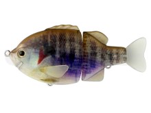 Tiny Bullshooter -  #16 Glass Gill