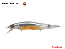 Vision Oneten Jr. - Shigyo