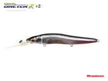 Vision Oneten R+2 (SP-C) - M Shad