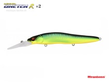 Vision Oneten R+2 - Mat Tiger