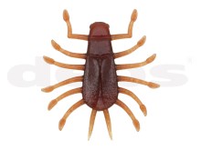 Deps Wiggle Bug 28 Scuppernong